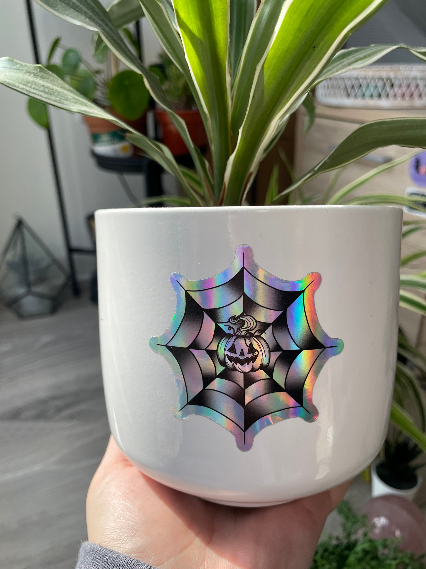Pumpkin web die cut rainbow vinyl sticker